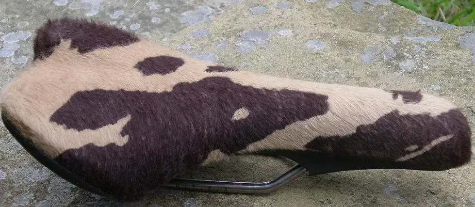 Fizik Saddle.webp