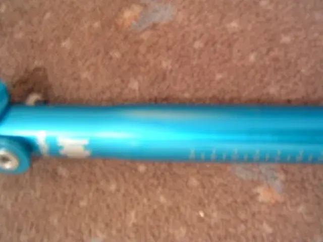 ringle blue moby4.webp