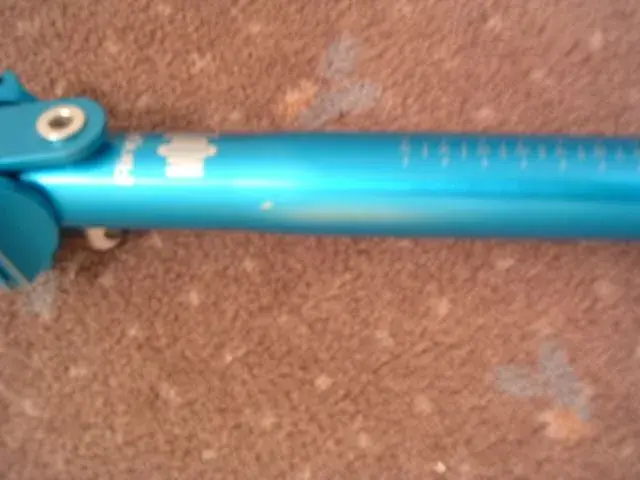 ringle blue moby3.webp