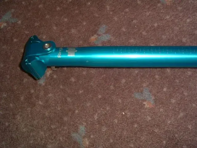 ringle blue moby2.webp