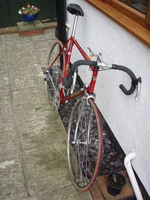 Merckx head on.webp