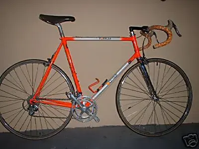 orange 1.webp