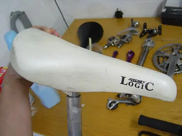 DSC05646.webp