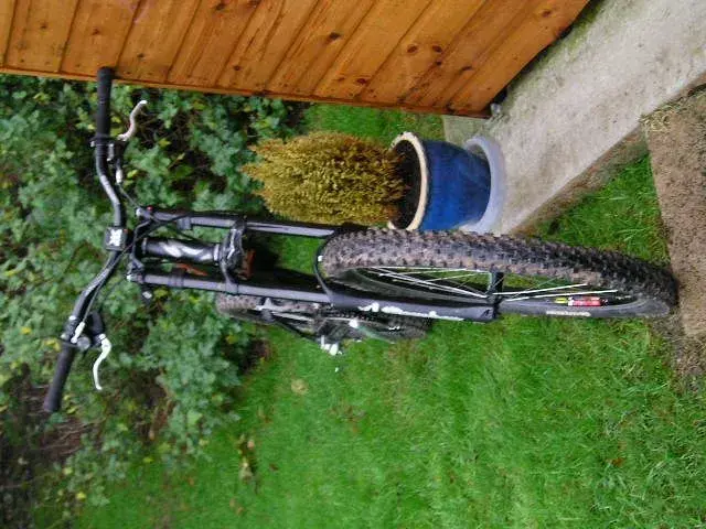 Picture 003.webp