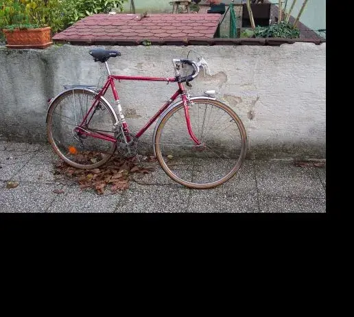 pegeot.webp