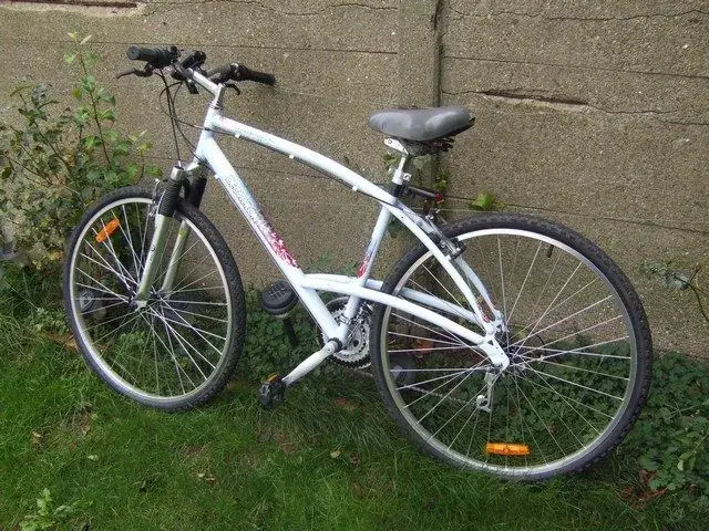 mini-My Dad's bike.webp