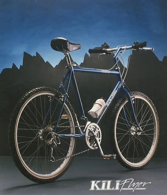 Saracen2.webp