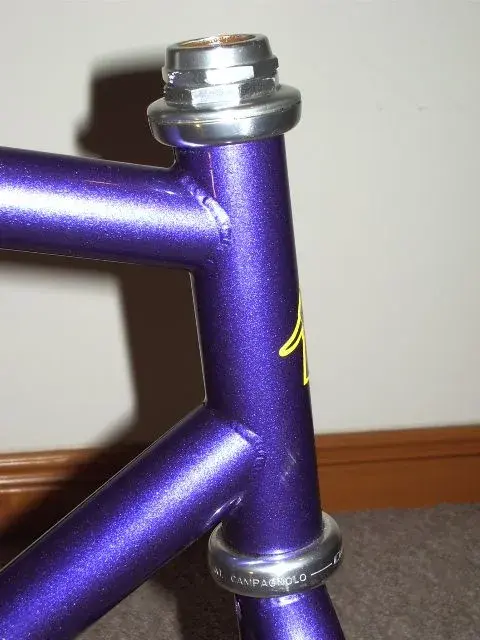 IMGP2268.webp