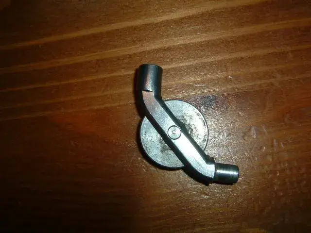 silver coghog.webp