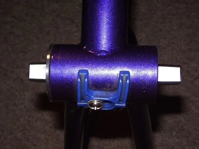 IMGP2264.webp