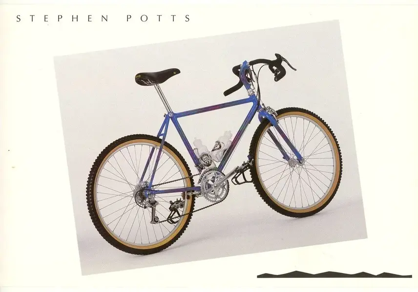 StevePotts_1.webp