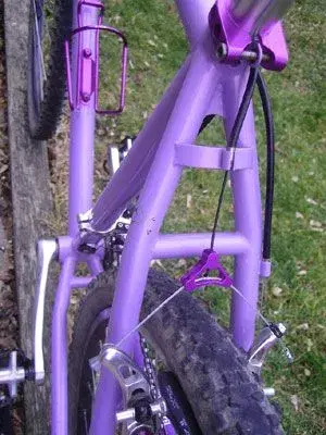YoEddyseatstay.webp