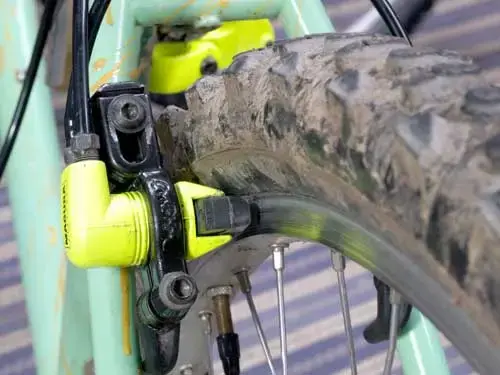 Magura-3.webp