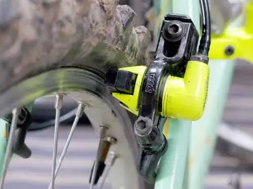 Magura-2.webp