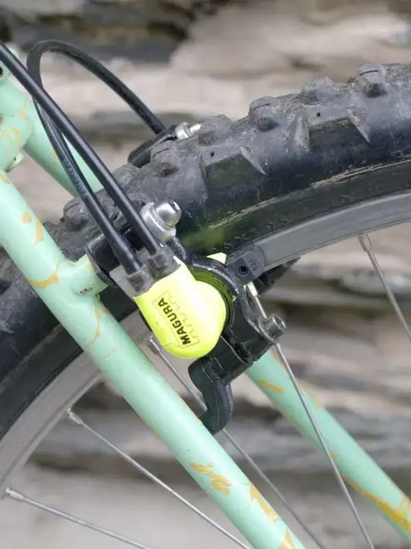 Magura-5.webp