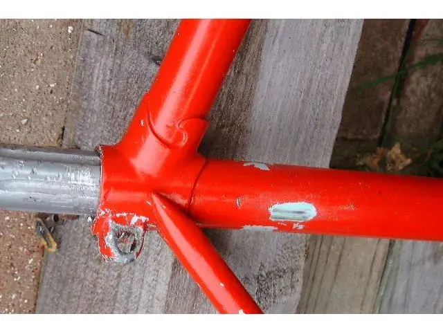Bianchi1.webp