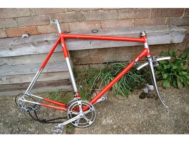 Bianchi3.webp