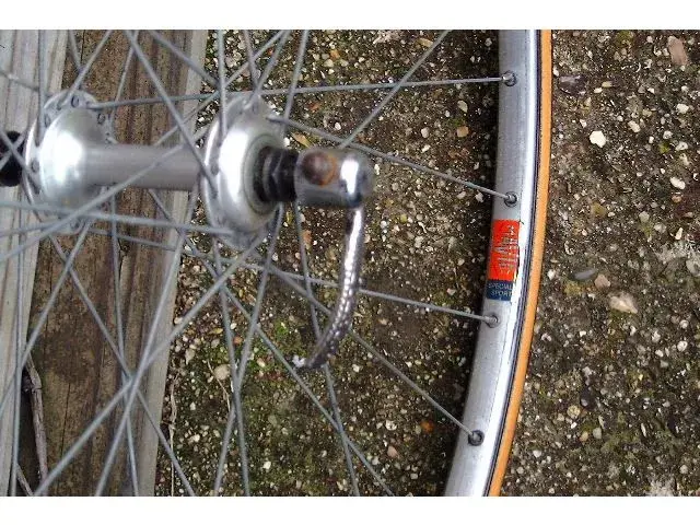 bianchi5.webp