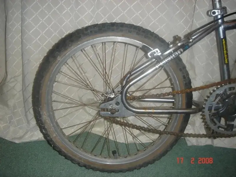Mongoose Back end.webp