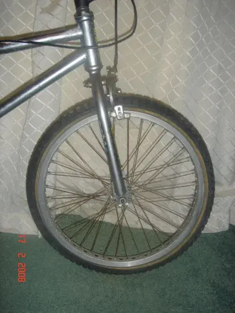 mongoose 4.webp