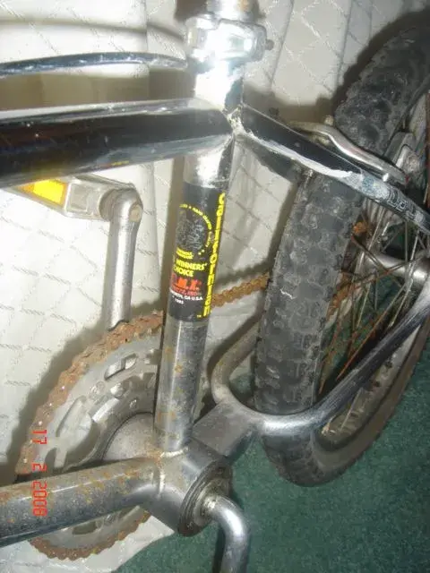 mongoose 3.webp