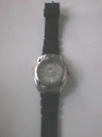 Animal Watch1.webp