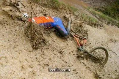mud_plant.webp
