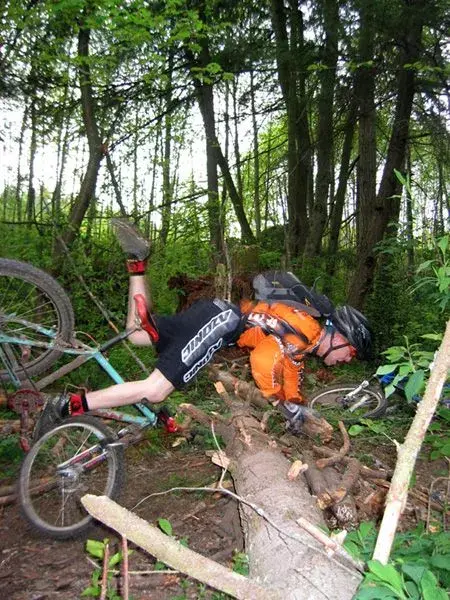 CuSS_Crash.webp