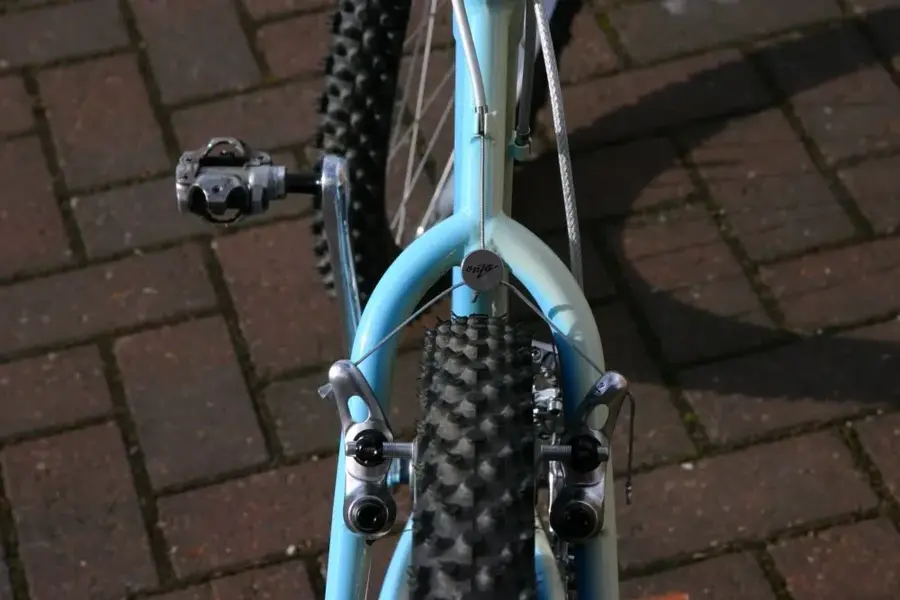 IMG_4784 Goat Brakes.webp