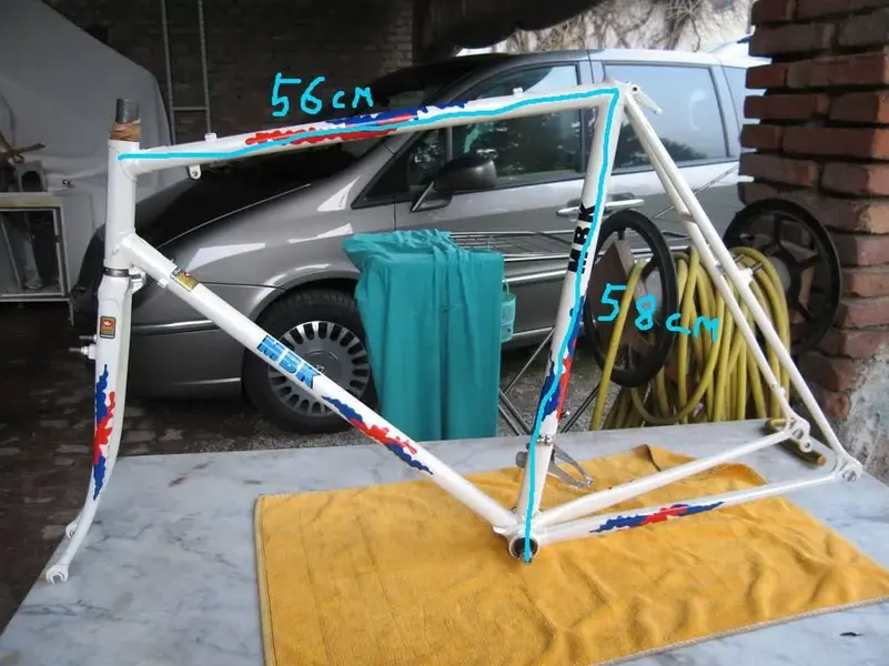 ciclo cros.webp