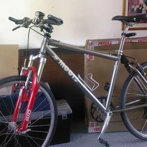 Moots1.webp