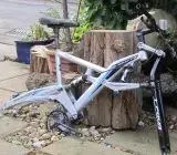 whyte 1.webp