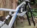 whyte 2.webp
