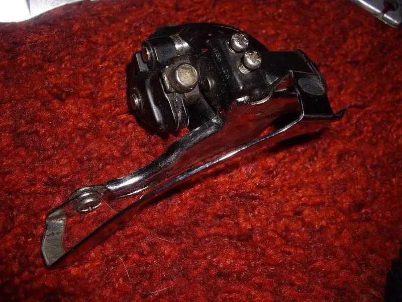 IMGP6255.webp