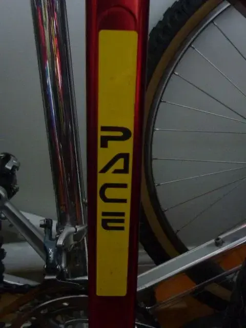 Seattube Decal.webp