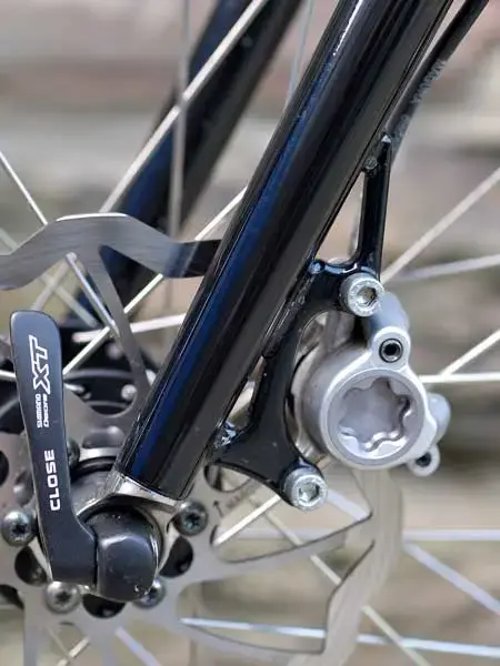 Magura 1.webp