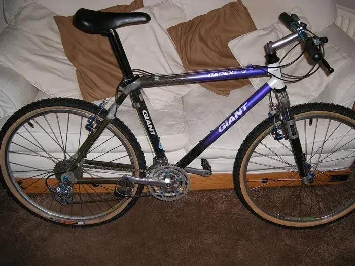 Beavis Bike 001.webp