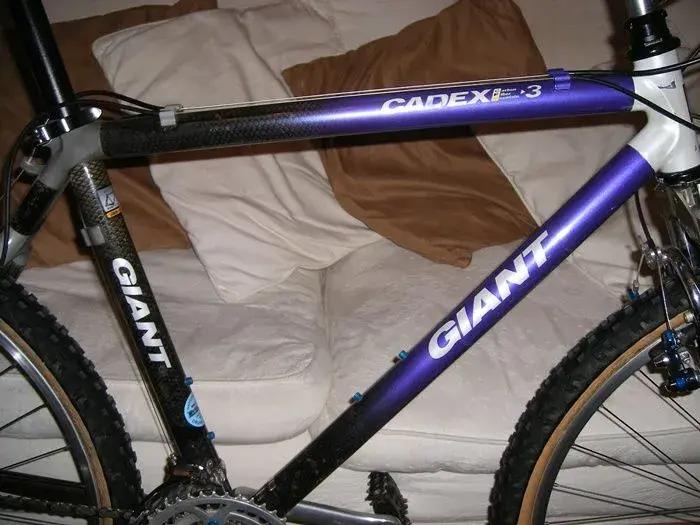 Beavis Bike 004.webp