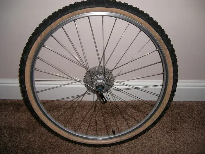 Beavis Bike 007.webp