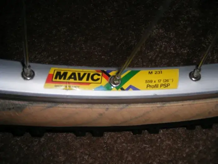 Beavis Bike 005.webp