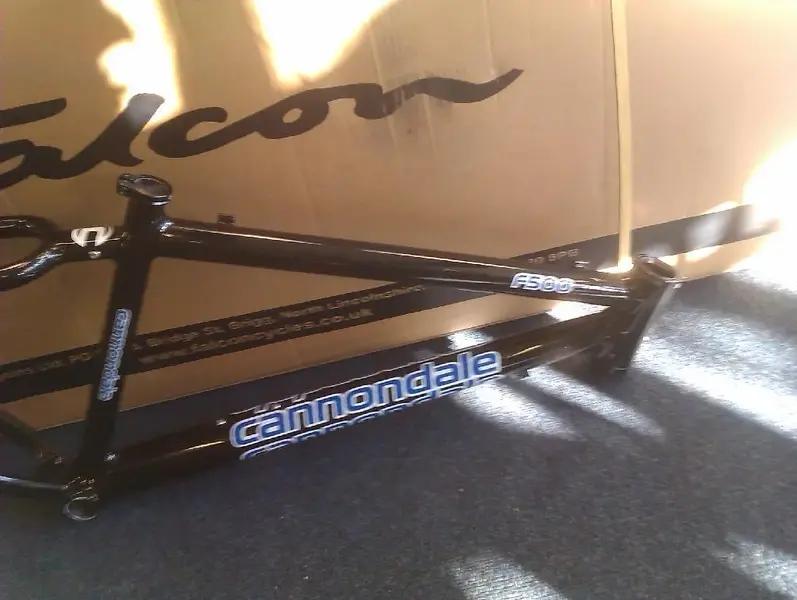 IMAG0217 (Large).webp