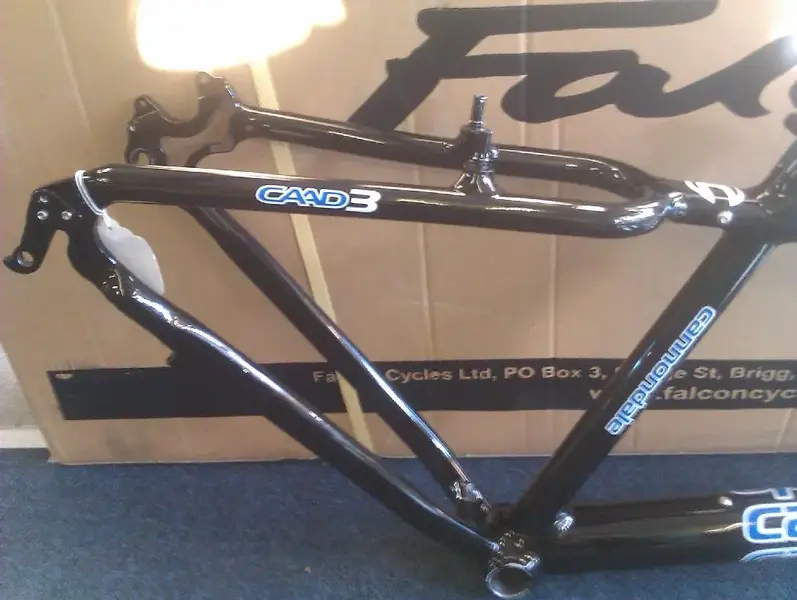 IMAG0216 (Large).webp