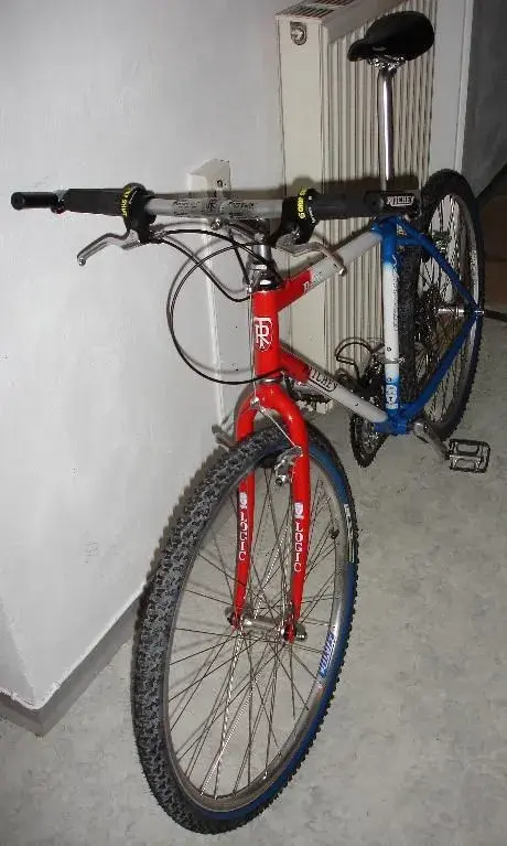 Ritchey_54.webp