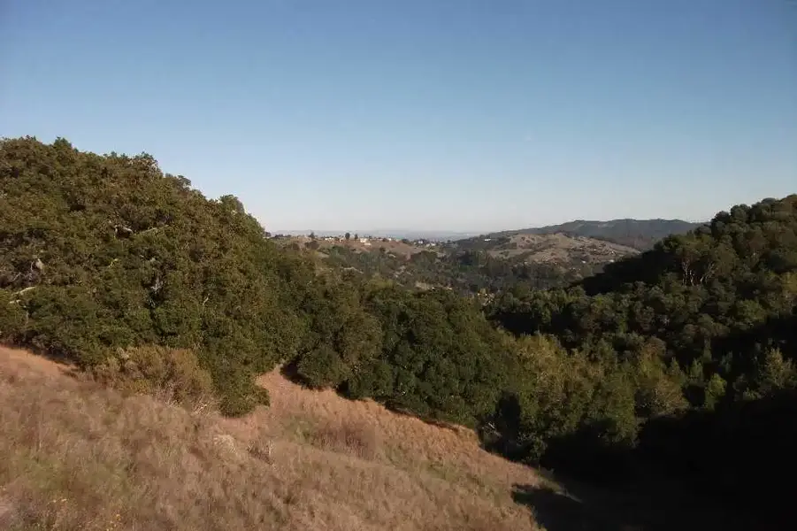 East from Goldman.webp