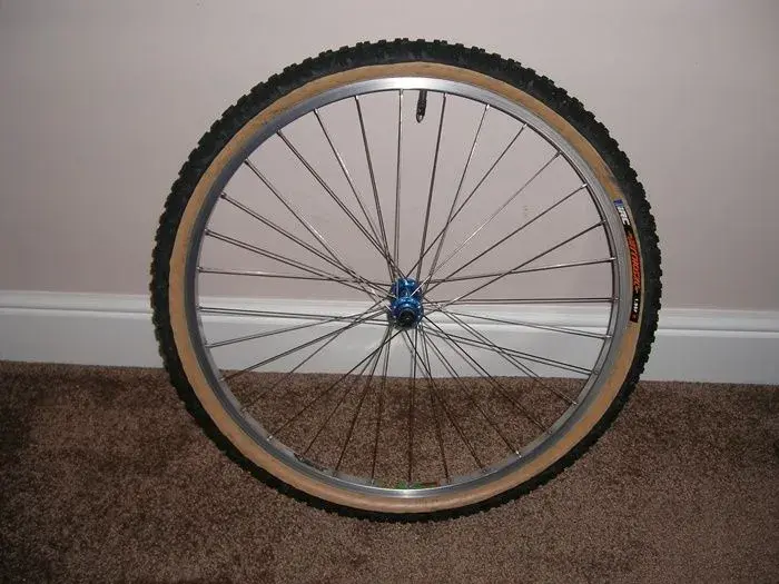 Beavis Bike 019.webp