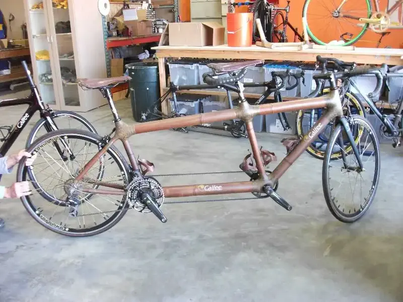 Bamboo Tandem.webp