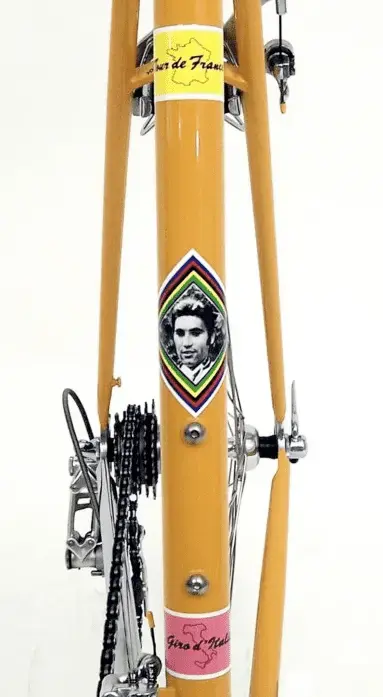 Merckx_Decals.webp