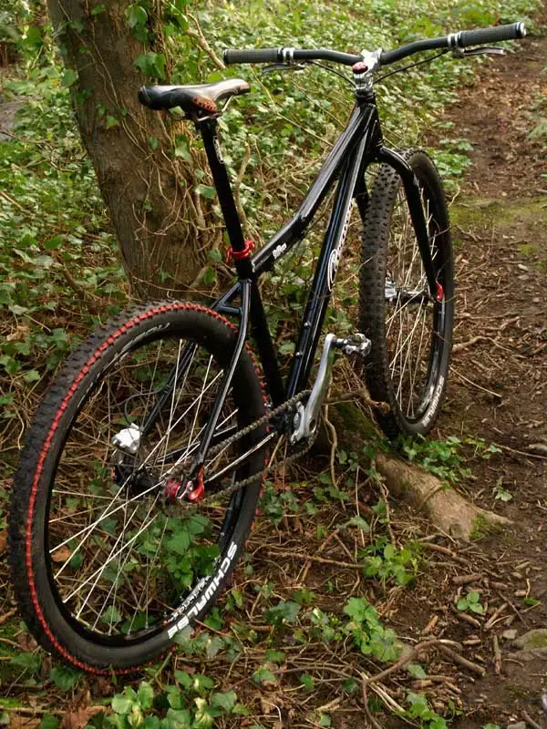 Carver-5b.webp