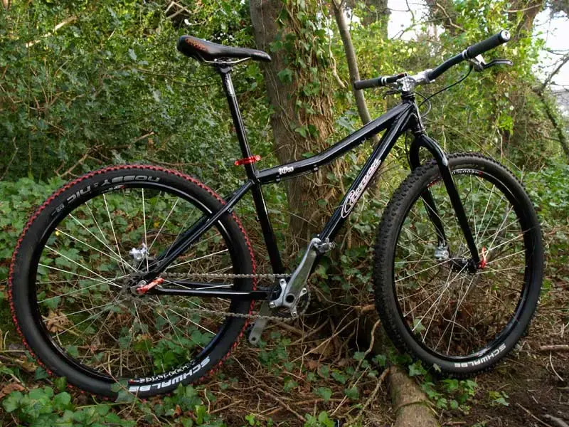 Carver-4b.webp