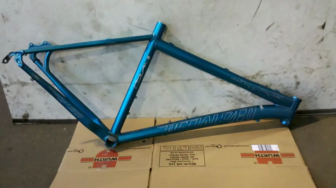 Blue stumpsmall.webp
